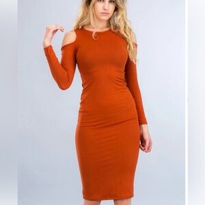 Elegant Rust Long Sleeve Dress
